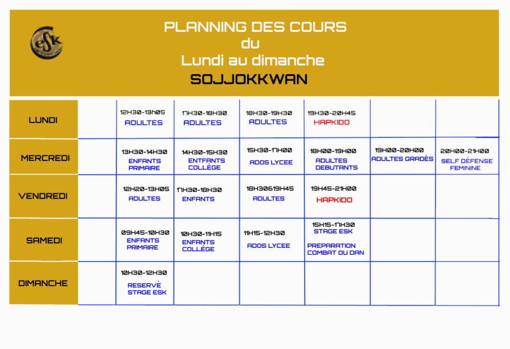 cours self defense hapkido taekwondo
